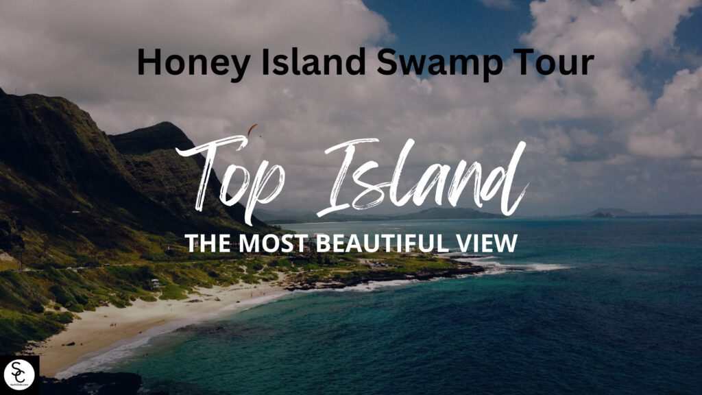 honey island swamp tour