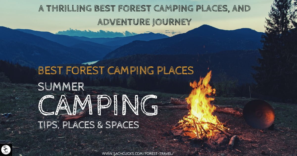 A Thrilling Best Forest Camping Places, and Adventure Journey