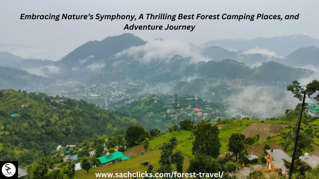 Embracing-Natures-Symphony-A-Thrilling-Best-Forest-Camping-Places-and-Adventure-Journey